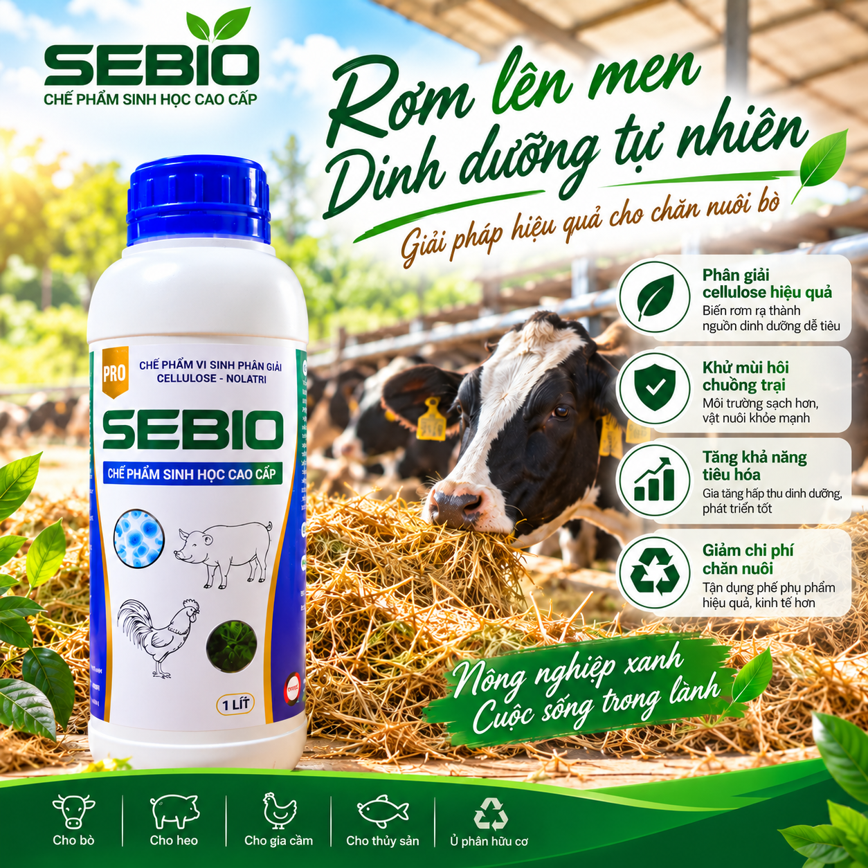 Chế phẩm vi sinh SEBIO 1 lít dùng trong chăn nuôi và xử lý môi trường