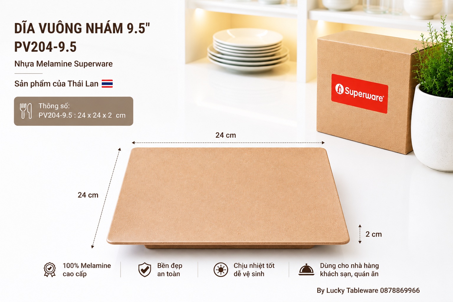 Kích thước Dĩa Vuông Nhám PV204-9.5 Dark Brown 24 x 24 x 2 cm