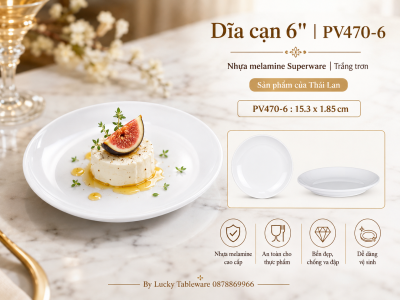 Dĩa cạn 6'' | PV470-6