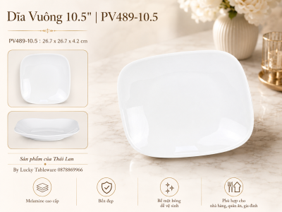 Dĩa Vuông 10.5'' | PV489-10.5
