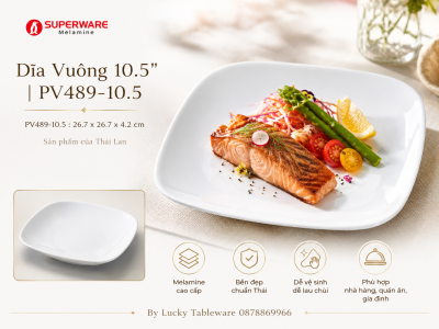 Dĩa Vuông 10.5'' | PV489-10.5