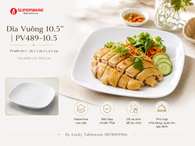 Dĩa Vuông 10.5'' | PV489-10.5