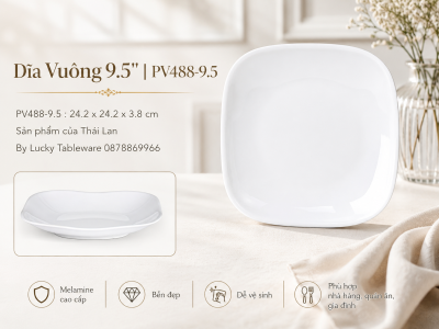 Dĩa Vuông 9.5'' | PV488-9.5