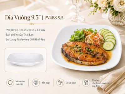 Dĩa Vuông 9.5'' | PV488-9.5