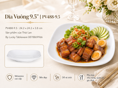 Dĩa Vuông 9.5'' | PV488-9.5