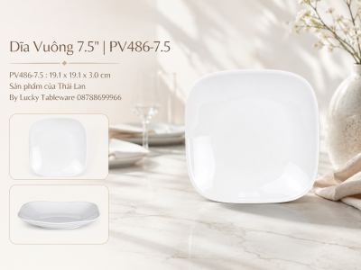 Dĩa Vuông 7.5'' | PV486-7.5