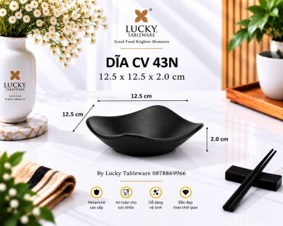 DĨA SÂU VUÔNG CV 43N NHÁM ĐEN