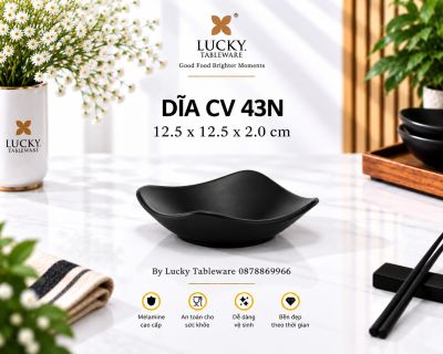 DĨA SÂU VUÔNG CV 43N NHÁM ĐEN