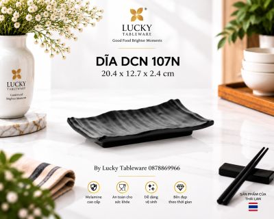 DĨA DCN 107N NHÁM ĐEN