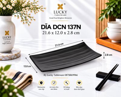 DĨA DCN 137N NHÁM ĐEN