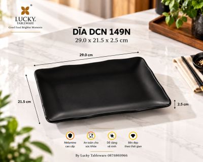 DĨA DCN 149N NHÁM ĐEN