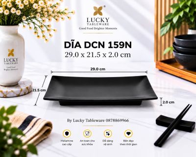 DĨA DCN 159N NHÁM ĐEN