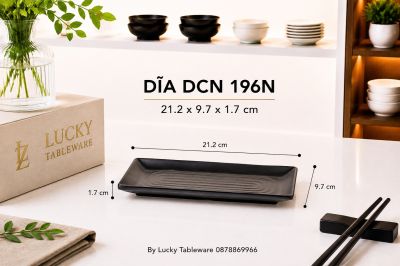 DĨA DCN 196N NHÁM ĐEN