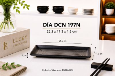 DĨA DCN 197N NHÁM ĐEN