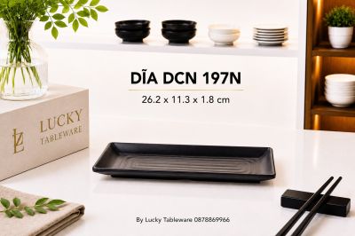 DĨA DCN 197N NHÁM ĐEN