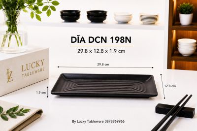 DĨA DCN 198N NHÁM ĐEN