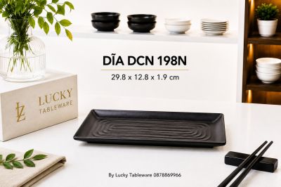 DĨA DCN 198N NHÁM ĐEN