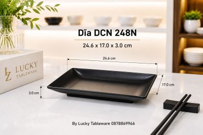 Dĩa DCN 248N 24.6 x 17.0 x 3.0 cm