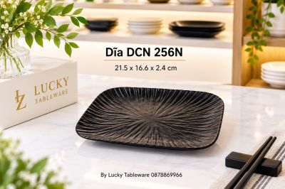 Dĩa DCN 256N 21.5 x 16.6 x 2.4 cm