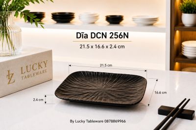 Dĩa DCN 256N 21.5 x 16.6 x 2.4 cm