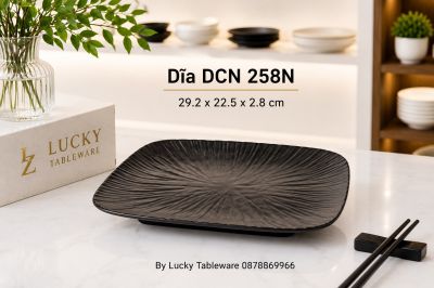Dĩa DCN 258N 29.2 x 22.5 x 2.8 cm