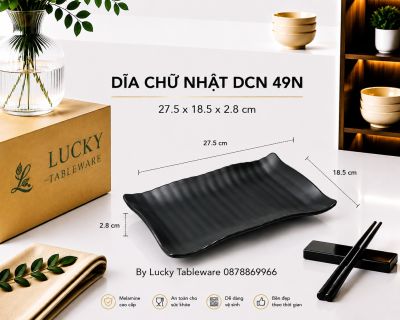 DĨA CHỮ NHẬT DCN 49N NHÁM ĐEN