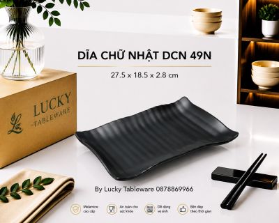 DĨA CHỮ NHẬT DCN 49N NHÁM ĐEN