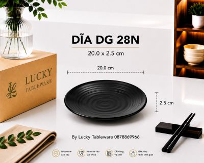 DĨA DG 28N NHÁM ĐEN