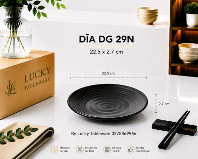 DĨA DG 29N NHÁM ĐEN