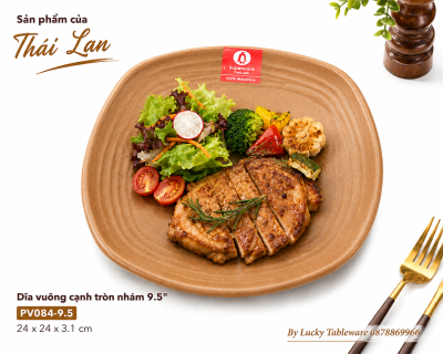 Dĩa vuông cạnh tròn nhám 9.5