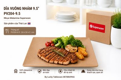 Dĩa Vuông Nhám 9.5