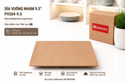 Dĩa Vuông Nhám 9.5