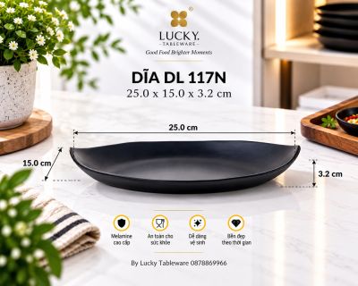DĨA DL 117N NHÁM ĐEN