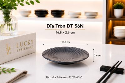Dĩa Tròn DT 56N 16.8 x 2.6 cm