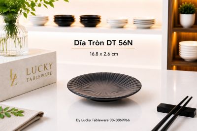 Dĩa Tròn DT 56N 16.8 x 2.6 cm