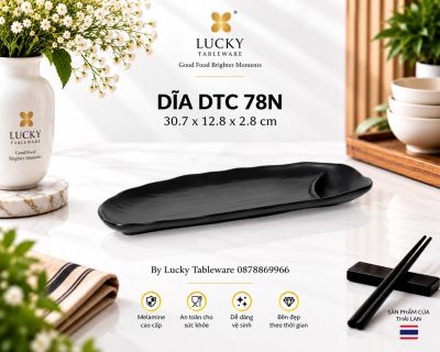 DĨA DTC 78N NHÁM ĐEN