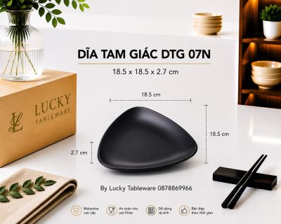 DĨA TAM GIÁC DTG 07N NHÁM ĐEN