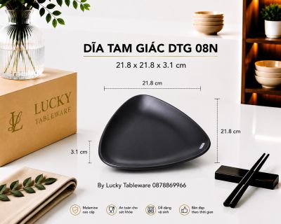 DĨA TAM GIÁC DTG 08N NHÁM ĐEN