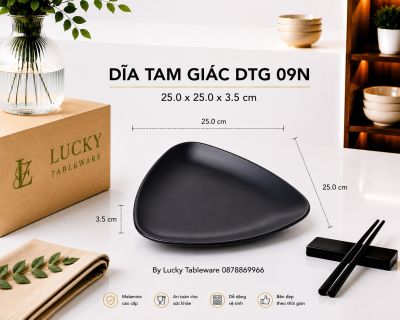 DĨA TAM GIÁC DTG 09N NHÁM ĐEN