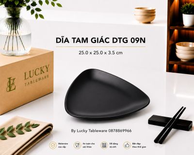 DĨA TAM GIÁC DTG 09N NHÁM ĐEN
