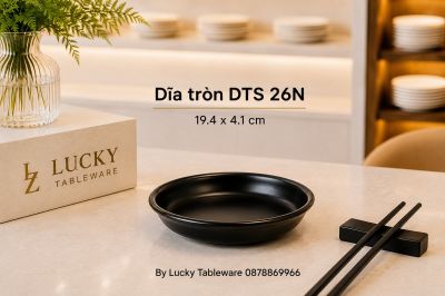 Dĩa tròn DTS 26N 19.4 x 4.1 cm