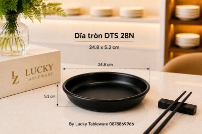Dĩa tròn DTS 28N 24.8 x 5.2 cm