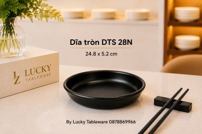 Dĩa tròn DTS 28N 24.8 x 5.2 cm