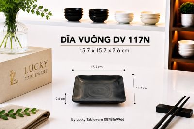 DĨA VUÔNG DV 117N NHÁM ĐEN