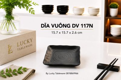 DĨA VUÔNG DV 117N NHÁM ĐEN