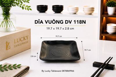 DĨA VUÔNG DV 118N NHÁM ĐEN