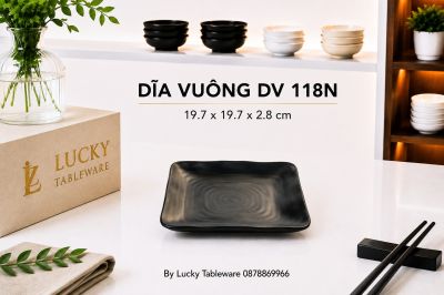 DĨA VUÔNG DV 118N NHÁM ĐEN