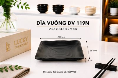 DĨA VUÔNG DV 119N NHÁM ĐEN
