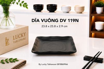 DĨA VUÔNG DV 119N NHÁM ĐEN
