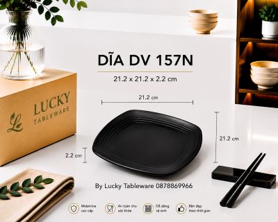 DĨA DV 157N NHÁM ĐEN